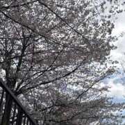 ヒメ日記 2025/04/06 08:00 投稿 あおい New Sky