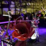 ヒメ日記 2025/04/14 11:12 投稿 あおい New Sky