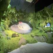 ヒメ日記 2025/06/11 10:28 投稿 あおい New Sky