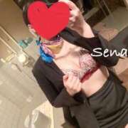 ヒメ日記 2025/04/04 09:55 投稿 セナ秘書 秘書の品格 クラブアッシュ ヴァリエ