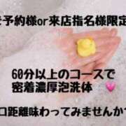 ヒメ日記 2025/05/10 09:45 投稿 セナ秘書 秘書の品格 クラブアッシュ ヴァリエ