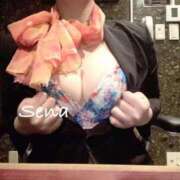 ヒメ日記 2025/07/31 08:48 投稿 セナ秘書 秘書の品格 クラブアッシュ ヴァリエ