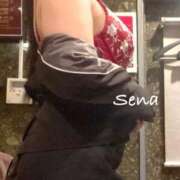 ヒメ日記 2025/11/10 22:18 投稿 セナ秘書 秘書の品格 クラブアッシュ ヴァリエ