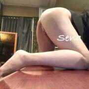 ヒメ日記 2026/01/12 06:14 投稿 セナ秘書 秘書の品格 クラブアッシュ ヴァリエ