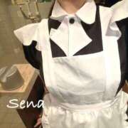 ヒメ日記 2026/01/16 10:14 投稿 セナ秘書 秘書の品格 クラブアッシュ ヴァリエ