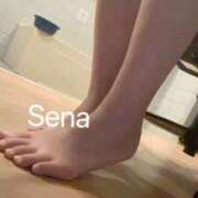 ヒメ日記 2026/01/28 04:18 投稿 セナ秘書 秘書の品格 クラブアッシュ ヴァリエ