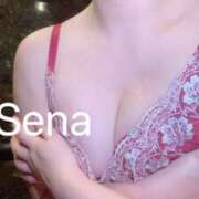 ヒメ日記 2026/02/26 17:28 投稿 セナ秘書 秘書の品格 クラブアッシュ ヴァリエ