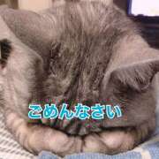 ヒメ日記 2025/01/31 17:21 投稿 じゅん プレイガール(亀有)