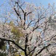 ヒメ日記 2026/03/30 21:24 投稿 ちひろ ラブライフさいたま