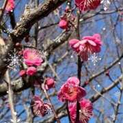 ヒメ日記 2025/03/05 14:28 投稿 あやか 成田人妻講座