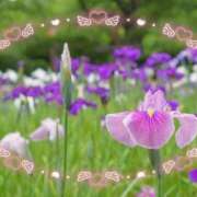 ヒメ日記 2025/05/09 13:05 投稿 あやか 成田人妻講座