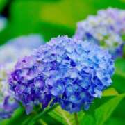 ヒメ日記 2025/06/19 12:51 投稿 あやか 成田人妻講座