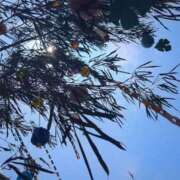 ヒメ日記 2025/07/15 22:17 投稿 あやか 成田人妻講座