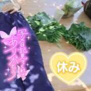 ヒメ日記 2025/07/26 08:34 投稿 みのり 熟女ばかり