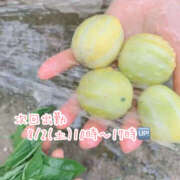 ヒメ日記 2025/08/01 13:57 投稿 みのり 熟女ばかり