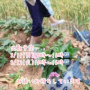 ヒメ日記 2025/08/08 09:03 投稿 みのり 熟女ばかり
