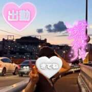 ヒメ日記 2025/09/23 09:16 投稿 みのり 熟女ばかり