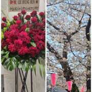 ヒメ日記 2026/03/30 06:16 投稿 みのり 熟女ばかり