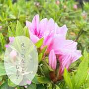 ヒメ日記 2026/04/28 10:26 投稿 みのり 熟女ばかり