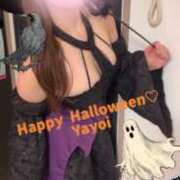 ヒメ日記 2025/10/31 23:57 投稿 やよい リッチドールフェミニン