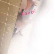 やよい ニットの季節🧶 リッチドールフェミニン