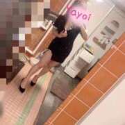 ヒメ日記 2026/03/23 11:17 投稿 やよい リッチドールフェミニン