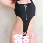 ヒメ日記 2024/12/10 20:01 投稿 一条 ゆま SUMIRE