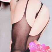 ヒメ日記 2025/01/26 08:45 投稿 一条 ゆま SUMIRE