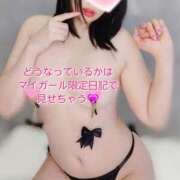 ヒメ日記 2025/08/17 10:30 投稿 一条 ゆま SUMIRE