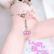 ヒメ日記 2026/02/26 12:05 投稿 一条 ゆま SUMIRE