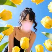 ヒメ日記 2026/05/10 12:31 投稿 一条 ゆま SUMIRE