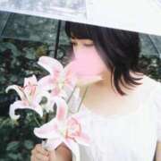 ヒメ日記 2026/05/26 10:30 投稿 一条 ゆま SUMIRE