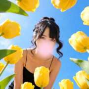ヒメ日記 2026/05/30 12:07 投稿 一条 ゆま SUMIRE