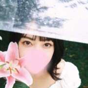 ヒメ日記 2026/06/06 11:30 投稿 一条 ゆま SUMIRE