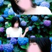 ヒメ日記 2026/06/10 10:30 投稿 一条 ゆま SUMIRE