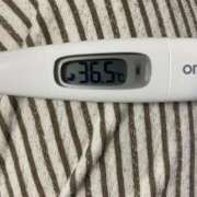 ヒメ日記 2025/04/17 15:14 投稿 福原　めい つくば風俗エキスプレス   ヌキ坂46