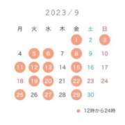 ヒメ日記 2023/09/04 08:18 投稿 ミカ 吉原美女革命