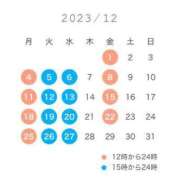 ヒメ日記 2023/11/27 11:48 投稿 ミカ 吉原美女革命
