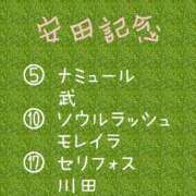 ヒメ日記 2024/06/02 13:46 投稿 ゆき なでしこ(十三)