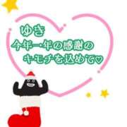 ヒメ日記 2024/12/17 11:15 投稿 ゆき なでしこ(十三)