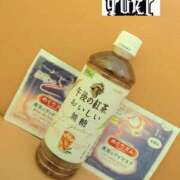 ヒメ日記 2024/12/20 00:08 投稿 ゆき なでしこ(十三)