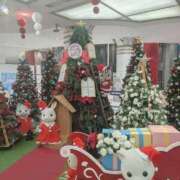 ヒメ日記 2024/12/20 23:04 投稿 ゆき なでしこ(十三)