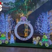 ヒメ日記 2024/12/24 20:21 投稿 ゆき なでしこ(十三)