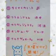 ヒメ日記 2025/01/13 11:25 投稿 ゆき なでしこ(十三)