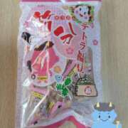 ヒメ日記 2025/01/29 23:30 投稿 ゆき なでしこ(十三)