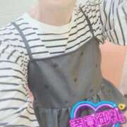 ヒメ日記 2025/03/13 11:19 投稿 ゆき なでしこ(十三)