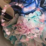 ヒメ日記 2025/03/24 05:45 投稿 ゆき なでしこ(十三)