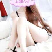 ヒメ日記 2025/04/11 19:35 投稿 ゆき なでしこ(十三)