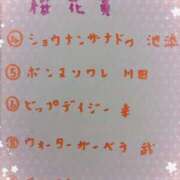 ヒメ日記 2025/04/13 14:32 投稿 ゆき なでしこ(十三)