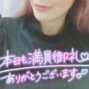 ヒメ日記 2025/05/26 11:04 投稿 ゆき なでしこ(十三)